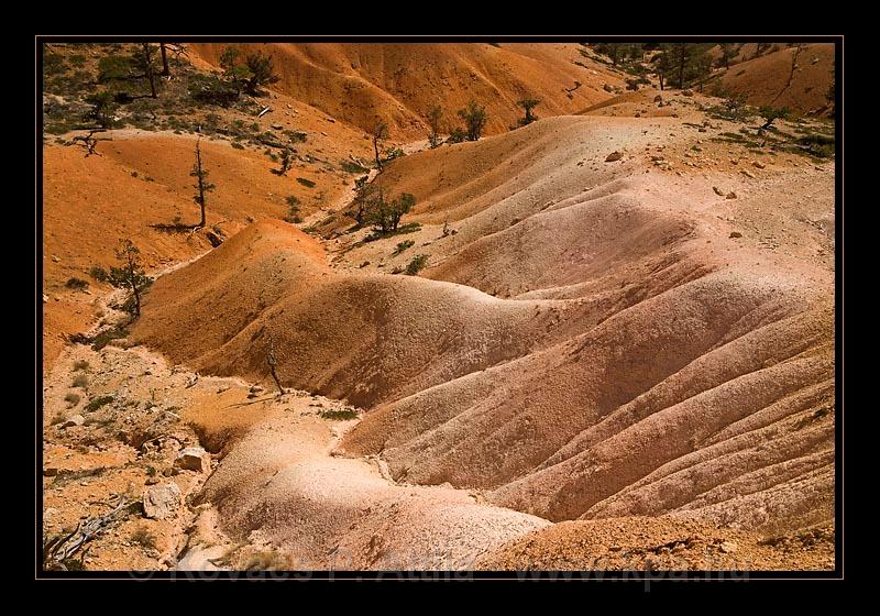 Bryce Canyon 15.jpg